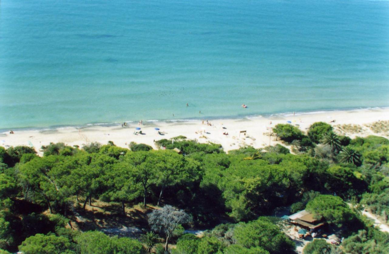 Villaggio Turistico Airone Riotorto Buitenkant foto